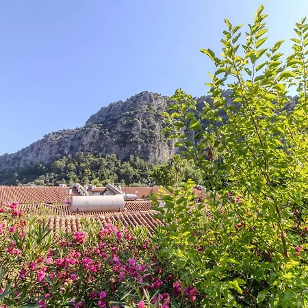 Aydos & Breeze Restaurant 5*